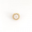 Charter pin thumbnail