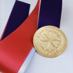 Profileringsnål Gull